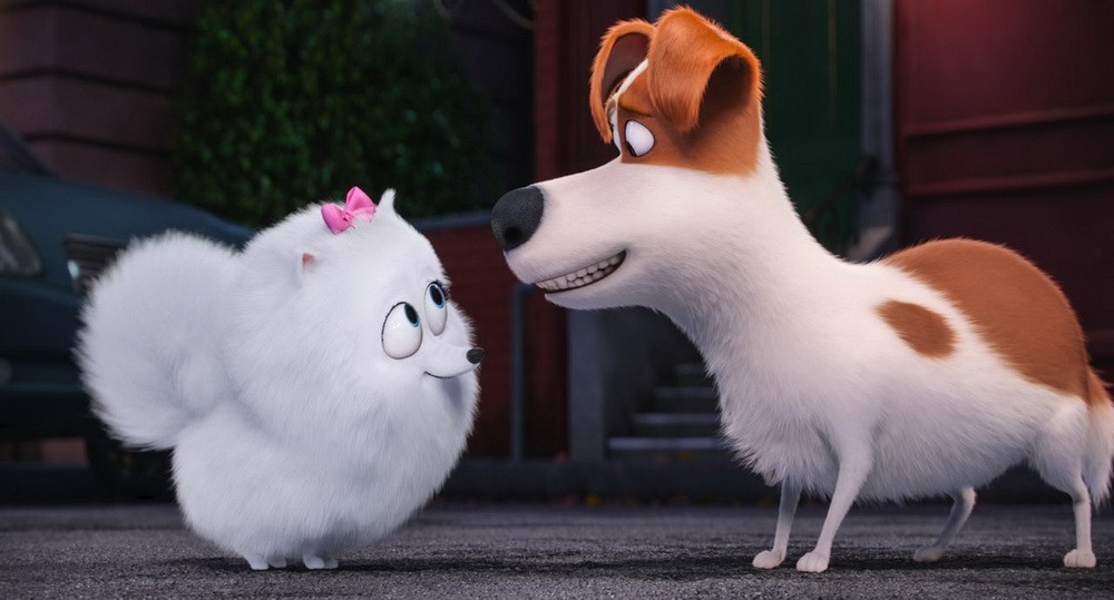 Фильм Тайная жизнь домашних животных (2016). Кадр N126398