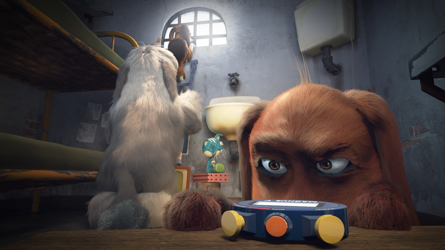 Фильм Большой собачий побег (2016). Кадр N128327