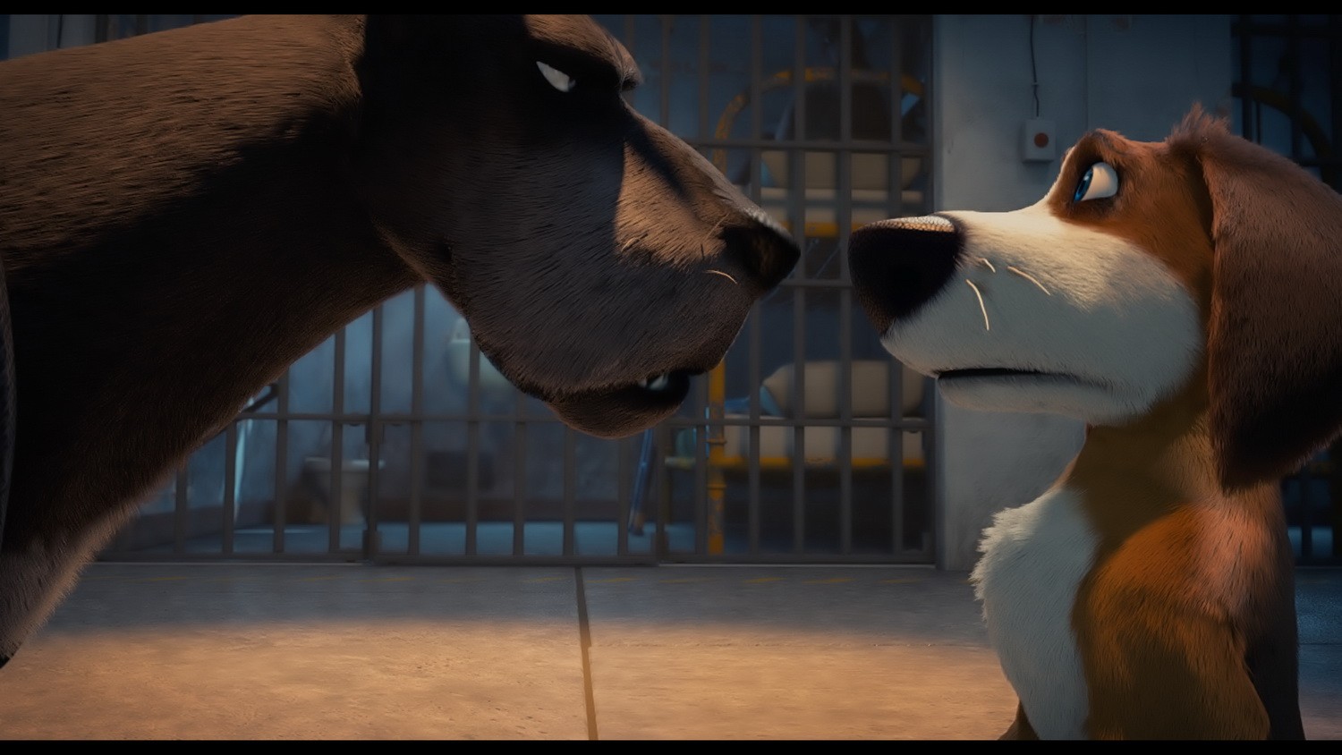Фильм Большой собачий побег (2016). Кадр N128328