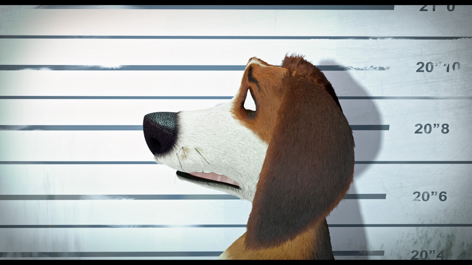 Фильм Большой собачий побег (2016). Кадр N128334