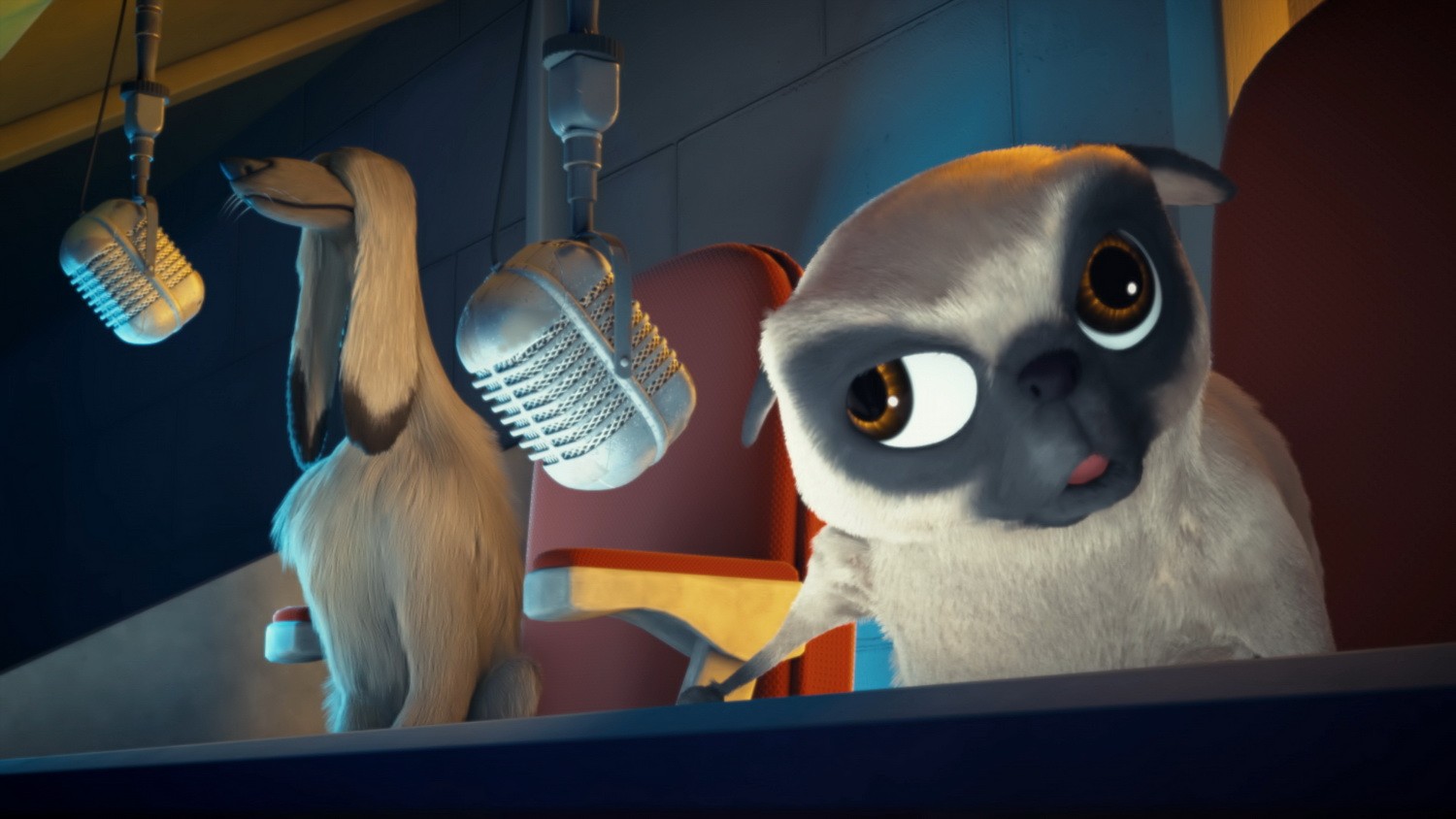 Фильм Большой собачий побег (2016). Кадр N128342