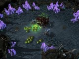 Превью скриншота #120246 из игры "StarCraft II: Heart of the Swarm"  (2013)