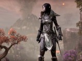 Превью скриншота #121255 из игры "The Elder Scrolls Online"  (2014)