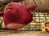 Превью кадра #122170 из мультфильма "Angry Birds в кино"  (2016)