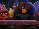 Превью кадра #122172 из мультфильма "Angry Birds в кино"  (2016)