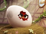 Превью кадра #122178 из мультфильма "Angry Birds в кино"  (2016)