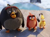 Превью кадра #122179 из мультфильма "Angry Birds в кино"  (2016)