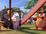 Превью кадра #122154 из мультфильма "Angry Birds в кино"  (2016)