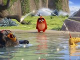 Превью кадра #122155 из мультфильма "Angry Birds в кино"  (2016)