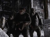 Превью кадра #131402 к фильму "Планета обезьян: Война" (2017)