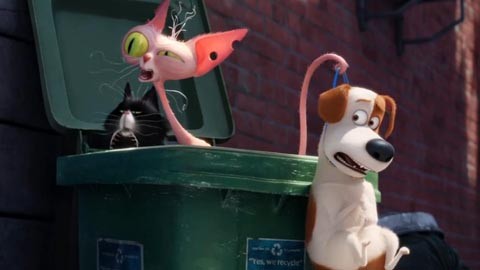 Кадр к фильму Тайная жизнь домашних животных / The Secret Life of Pets