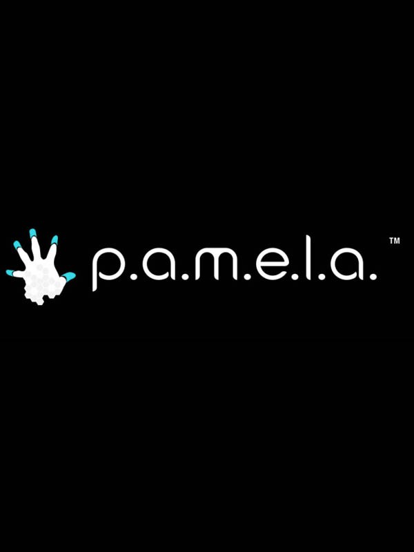 P.A.M.E.L.A.