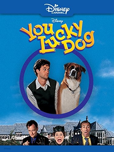 Везучий пес / You Lucky Dog (1998) отзывы. Рецензии. Новости кино. Актеры фильма Везучий пес. Отзывы о фильме Везучий пес