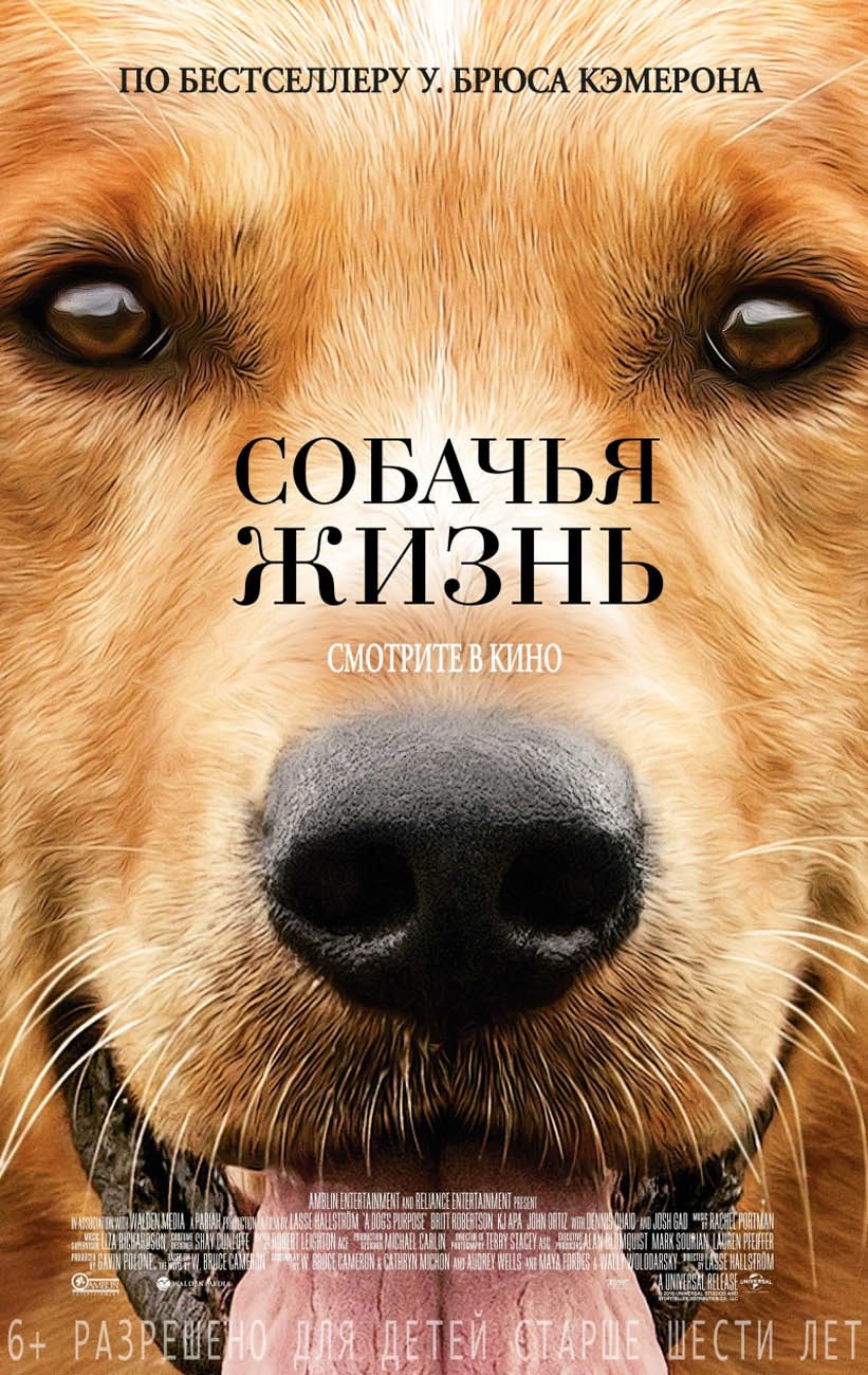 Собачья жизнь / A Dog`s Purpose (2017) отзывы. Рецензии. Новости кино. Актеры фильма Собачья жизнь. Отзывы о фильме Собачья жизнь