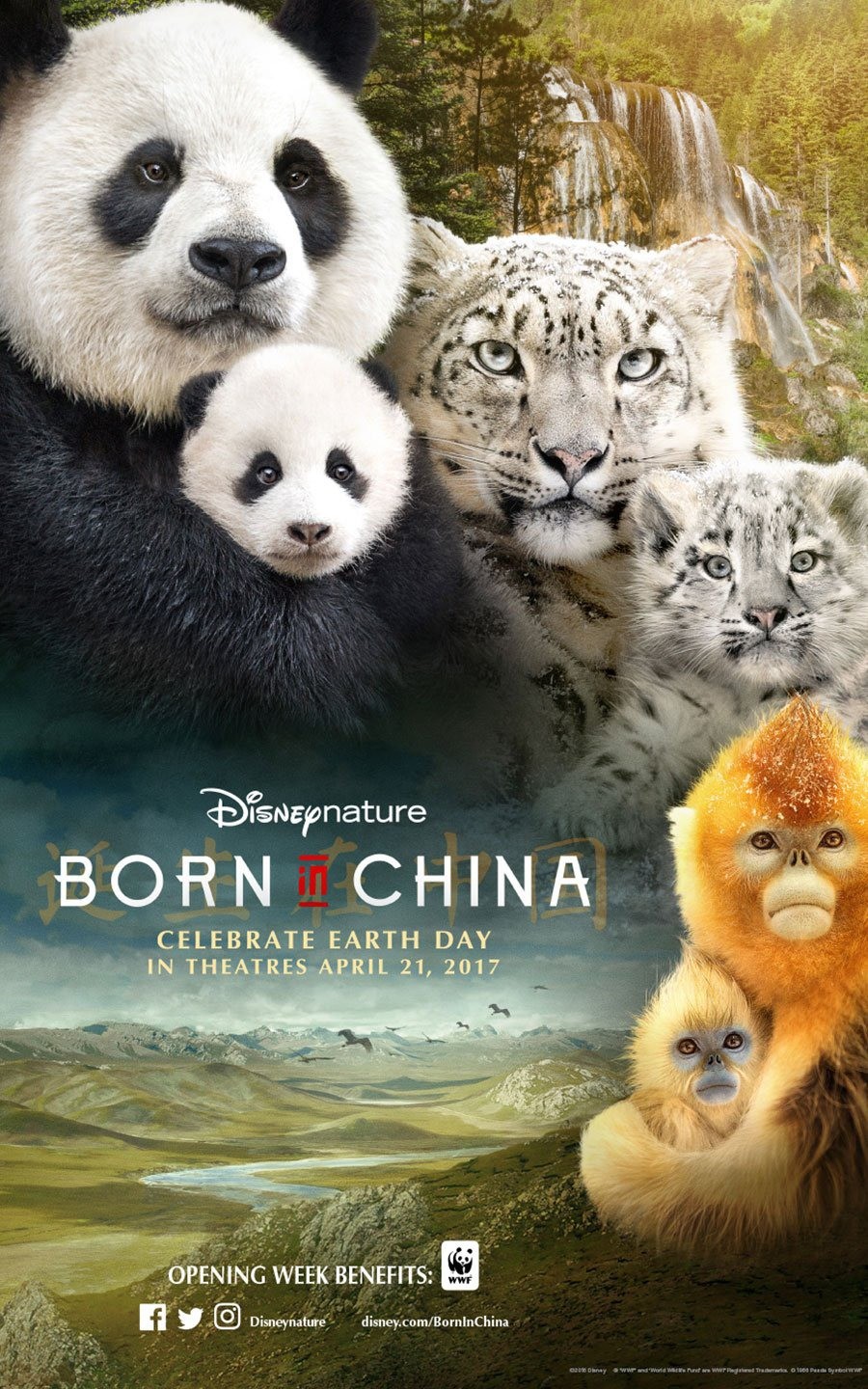 Рожденный в Китае / Born in China (2016) отзывы. Рецензии. Новости кино. Актеры фильма Рожденный в Китае. Отзывы о фильме Рожденный в Китае