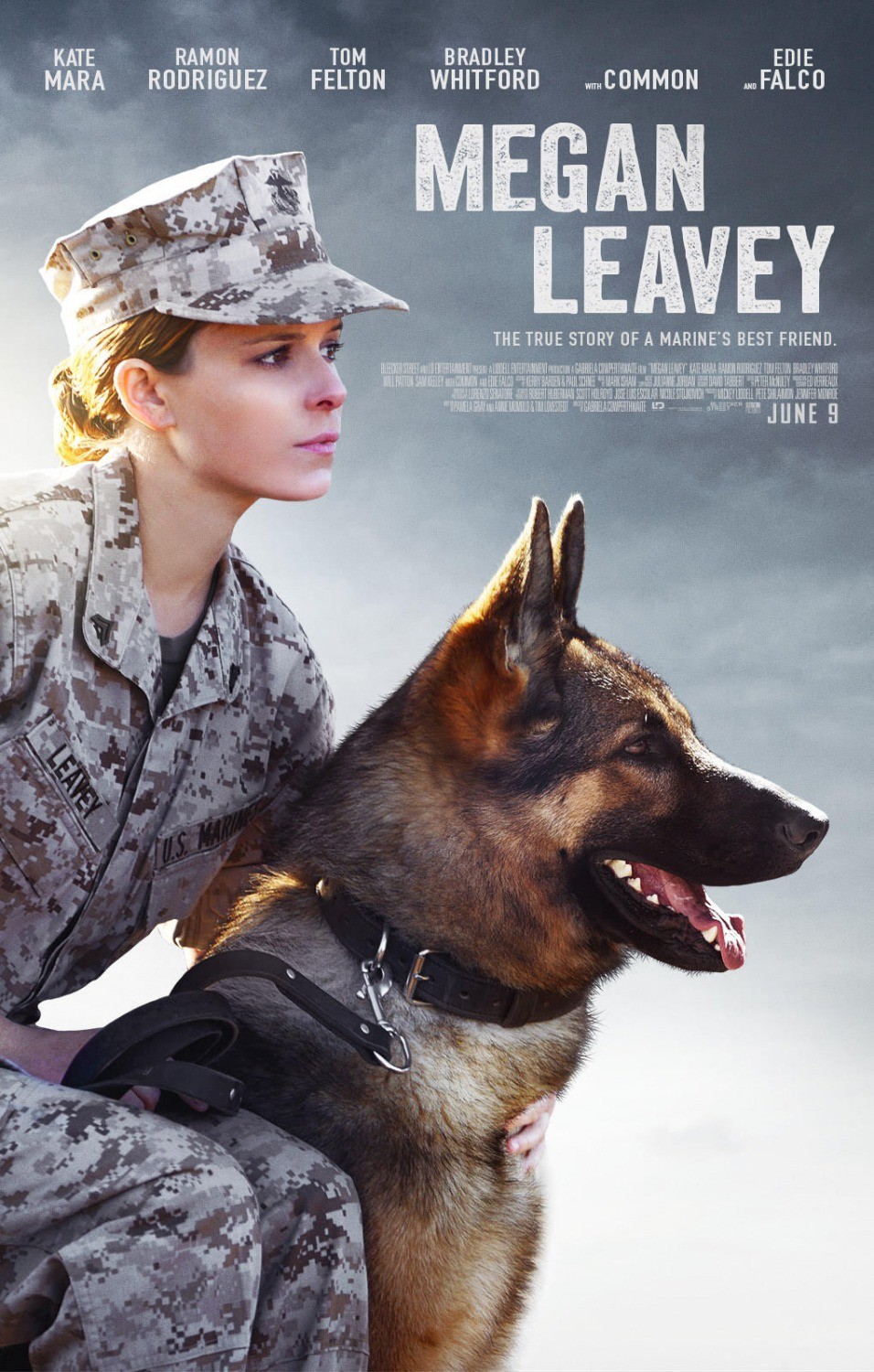 Меган Ливи / Megan Leavey (2017) отзывы. Рецензии. Новости кино. Актеры фильма Меган Ливи. Отзывы о фильме Меган Ливи