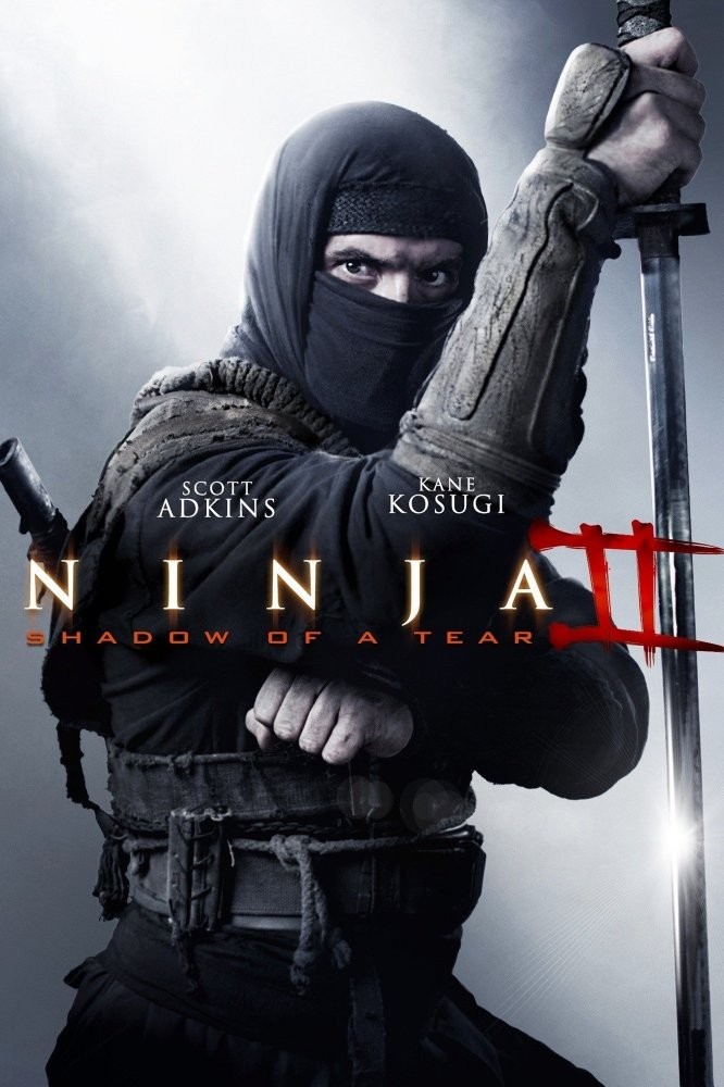 Ниндзя 2 / Ninja: Shadow of a Tear (2013) отзывы. Рецензии. Новости кино. Актеры фильма Ниндзя 2. Отзывы о фильме Ниндзя 2