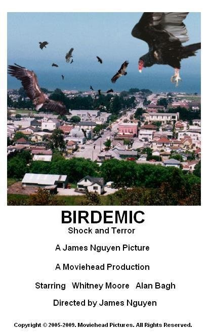 Птицекалипсис: Шок и Трепет / Birdemic: Shock and Terror (2010) отзывы. Рецензии. Новости кино. Актеры фильма Птицекалипсис: Шок и Трепет. Отзывы о фильме Птицекалипсис: Шок и Трепет