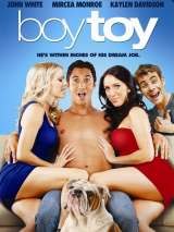 Превью постера #132963 к фильму "Мальчик-игрушка" (2011)