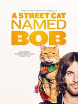 Уличный кот по кличке Боб / A Street Cat Named Bob