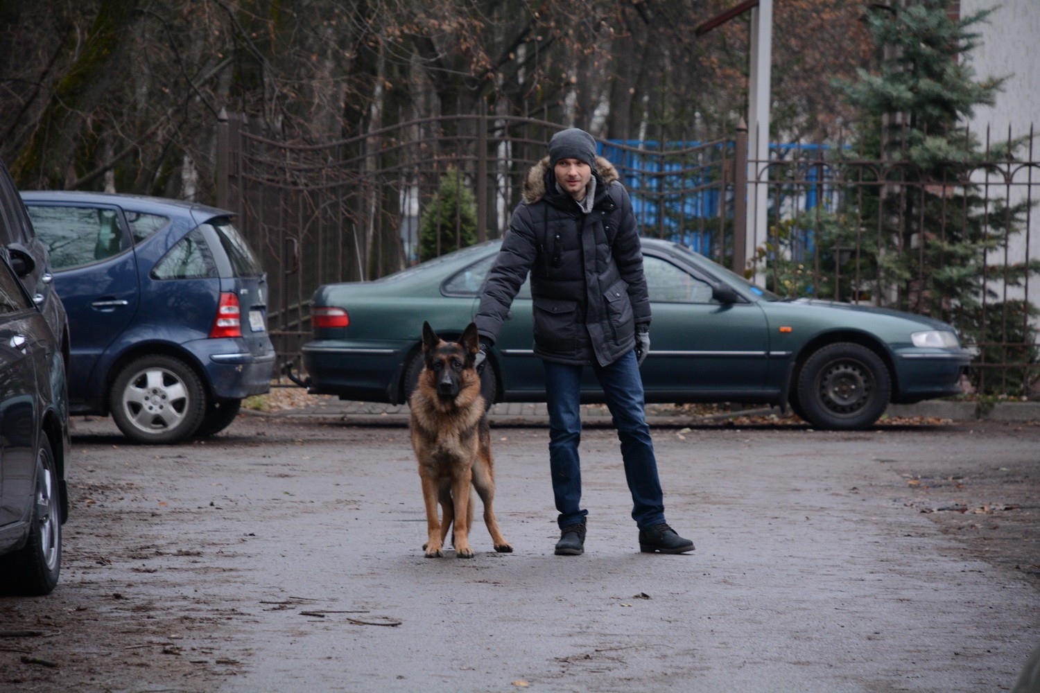 Сериал Мухтар. Новый след (2016-2019). Кадр N134870