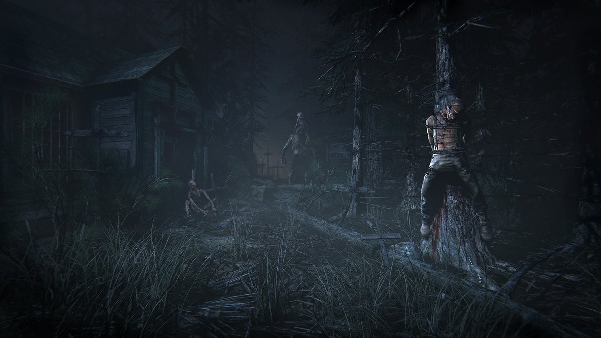 Игра Outlast 2 (2017). Скриншот N136300