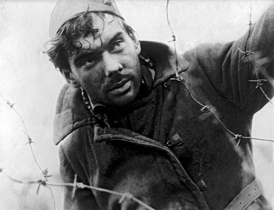 Фильм Летят журавли (1957). Кадр N137458