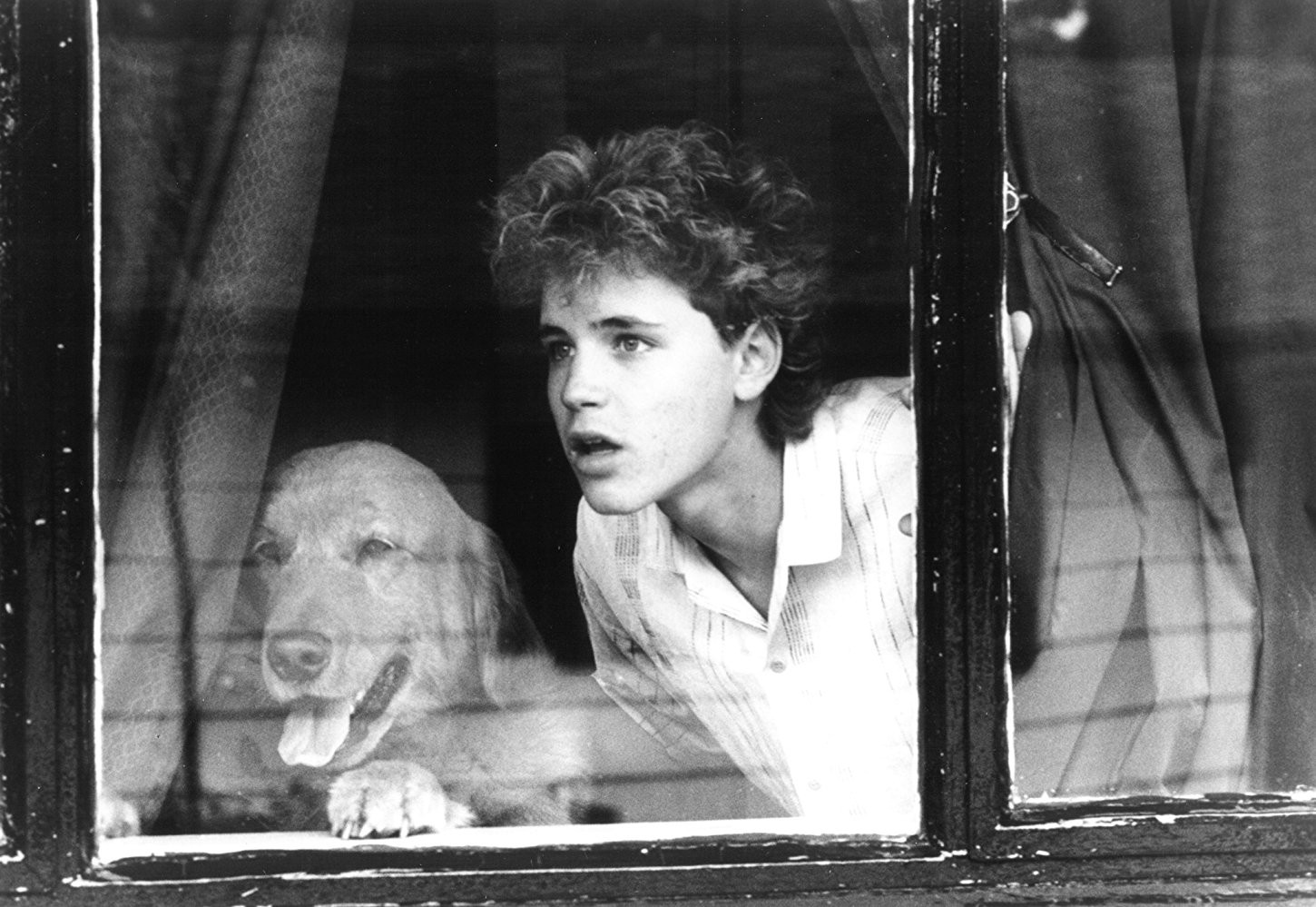 Фильм Ангелы-хранители (1988). Кадр N142621