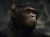 Превью скриншота #139429 к игре "Planet of the Apes: Last Frontier" (2017)