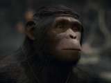 Превью скриншота #139429 из игры "Planet of the Apes: Last Frontier"  (2017)