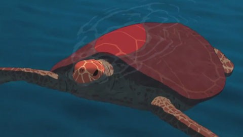 Кадр к фильму Красная черепаха / La tortue rouge