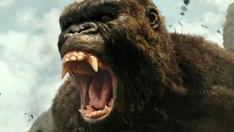 Кадр к фильму Конг: Остров черепа / Kong: Skull Island