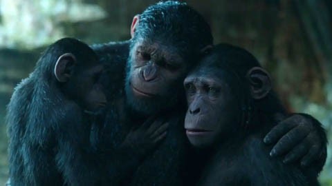 Дублированный трейлер №3 фильма "Планета обезьян: Война"