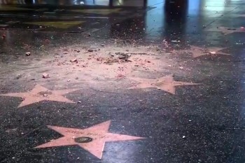 Дональд Трамп лишился звезды на Голливудской Аллее Славы
