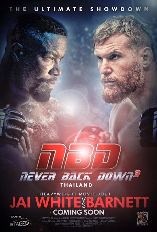 Никогда не сдавайся 3 / Never Back Down: No Surrender (2016) отзывы. Рецензии. Новости кино. Актеры фильма Никогда не сдавайся 3. Отзывы о фильме Никогда не сдавайся 3