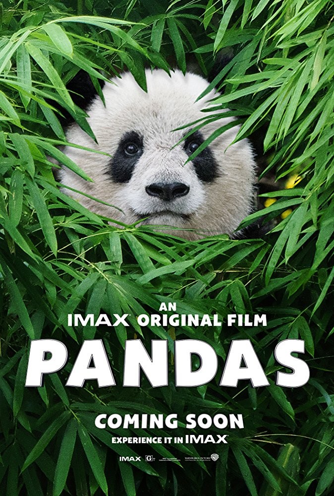 Панды / Pandas (2018) отзывы. Рецензии. Новости кино. Актеры фильма Панды. Отзывы о фильме Панды