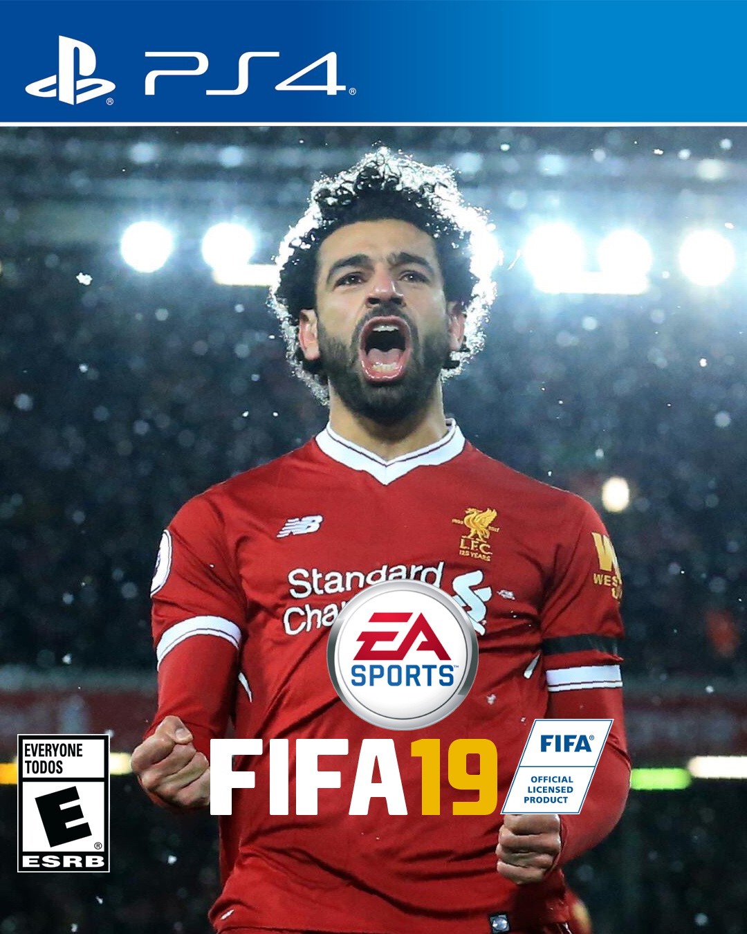 FIFA 19: постер N147009