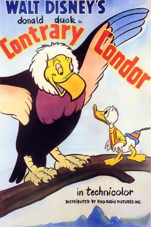 Птица кондор: постер N149155