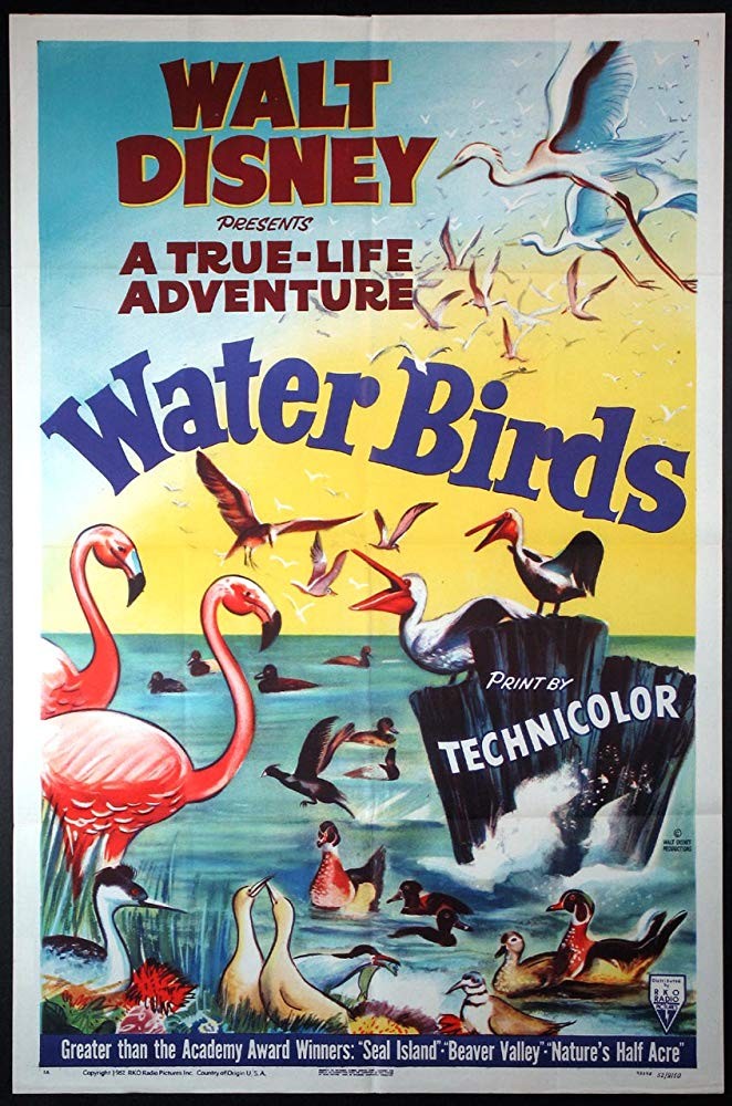 Постер N149810 к фильму Водоплавающие (1952)
