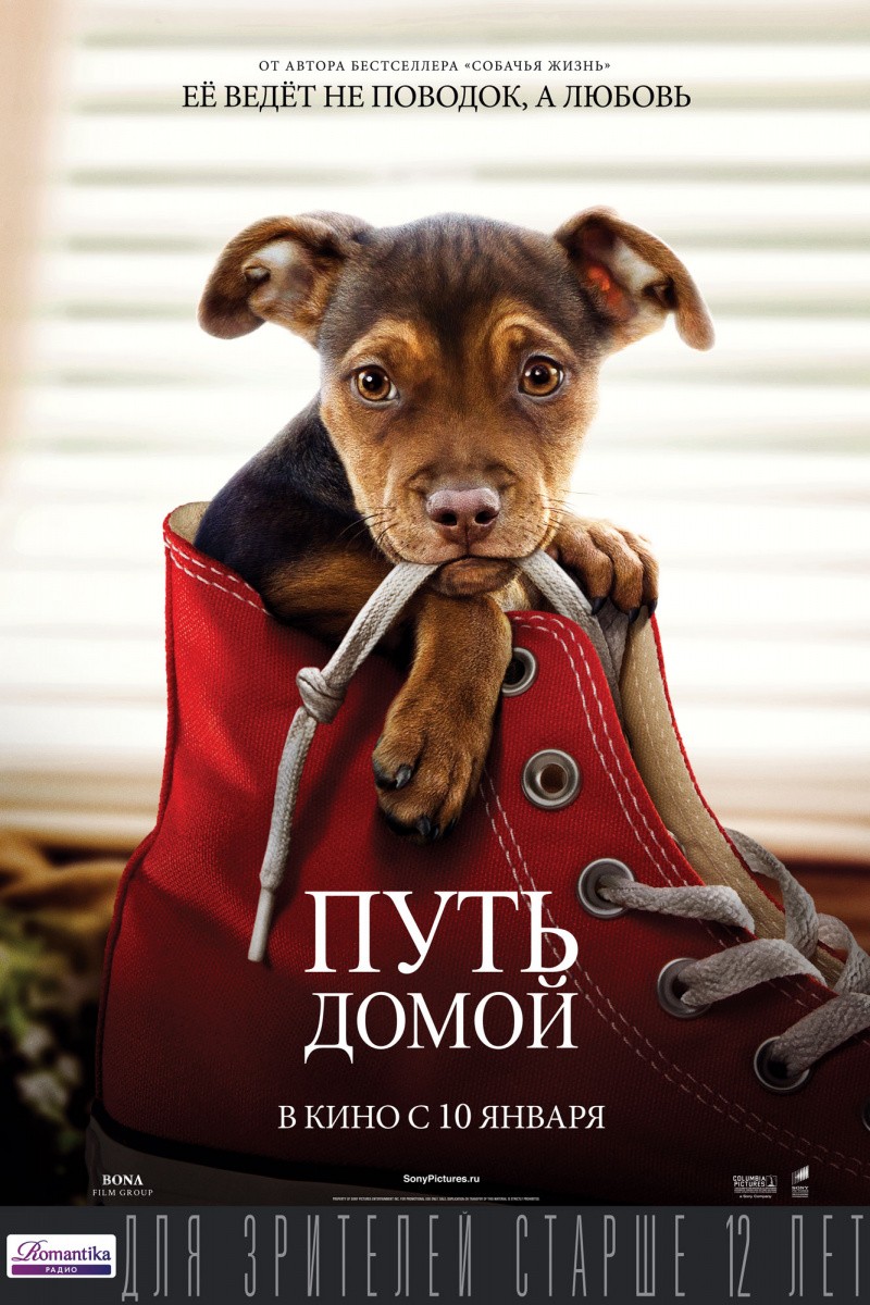 Путь домой / A Dog`s Way Home (2019) отзывы. Рецензии. Новости кино. Актеры фильма Путь домой. Отзывы о фильме Путь домой