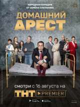 Превью постера #150524 к фильму "Домашний арест" (2018)