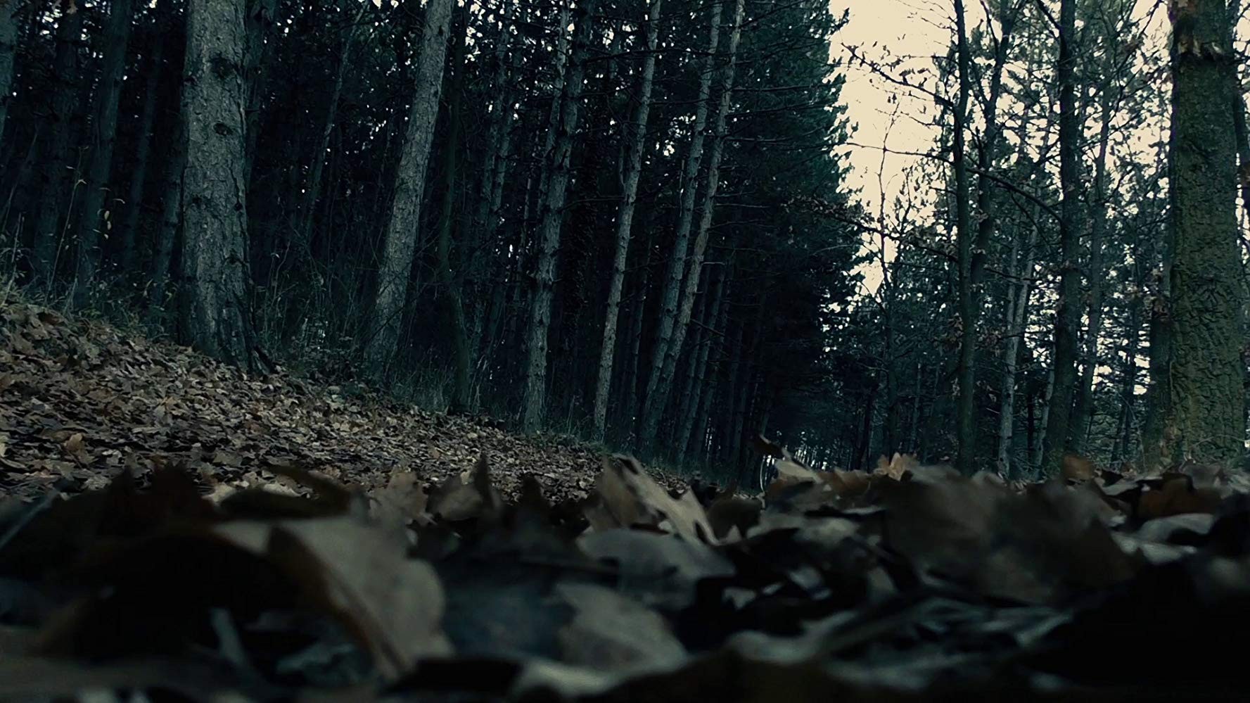 Фильм Мотылек (2016). Кадр N147355