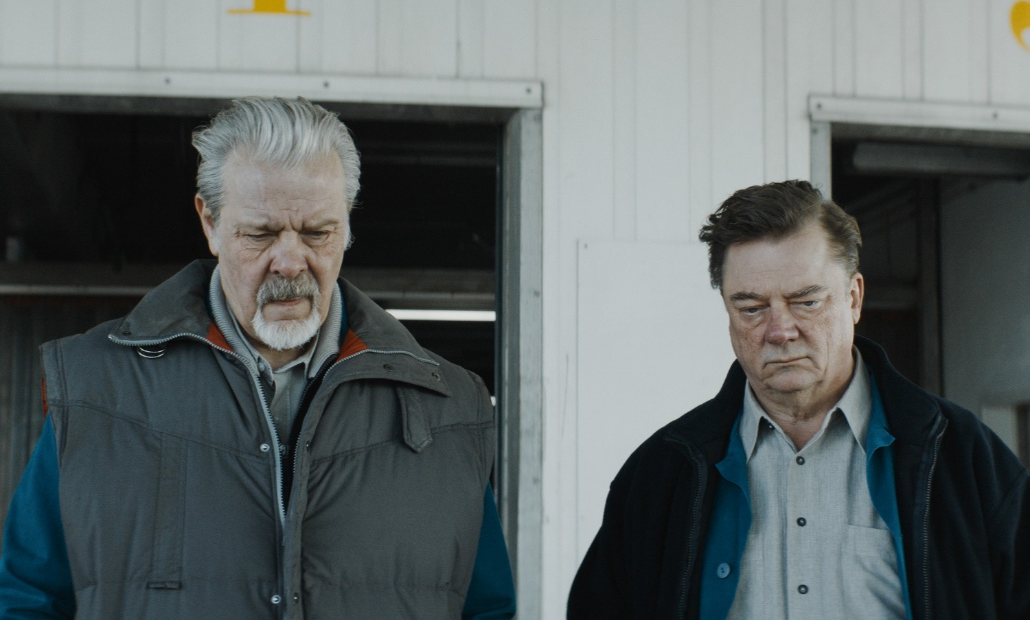 Фильм Между рядами (2018). Кадр N147426