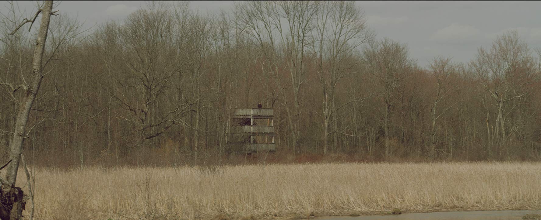 Фильм Пожиратель детей (2016). Кадр N150011