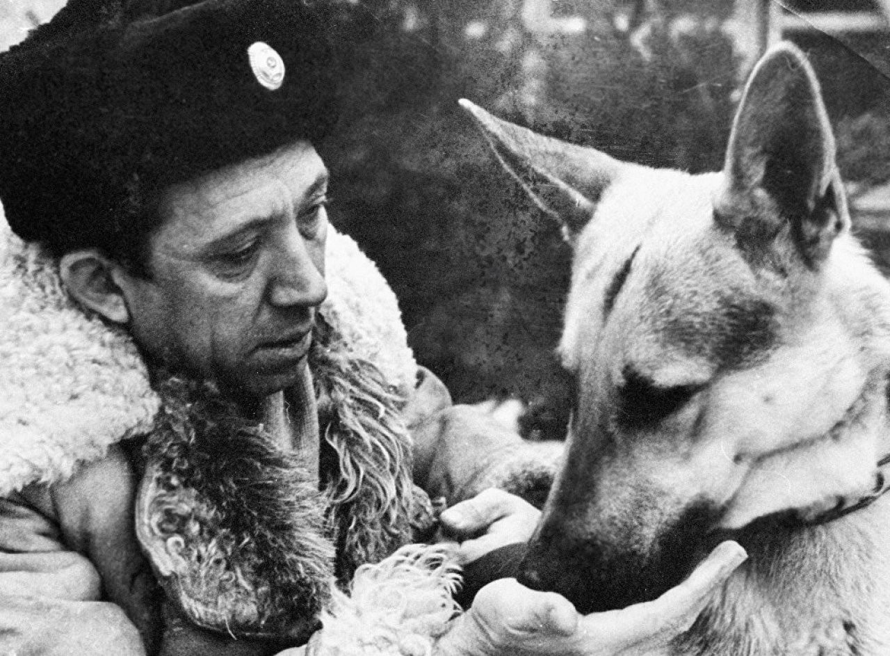 Фильм Ко мне, Мухтар! (1964). Кадр N150867