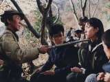 Превью кадра #143143 из фильма "Северокорейский партизан в Южной Корее"  (1990)