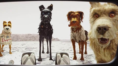 Кадр к фильму Остров собак / Isle of Dogs