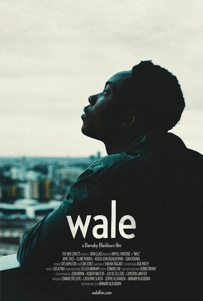 Вельс / Wale (2018) отзывы. Рецензии. Новости кино. Актеры фильма Вельс. Отзывы о фильме Вельс