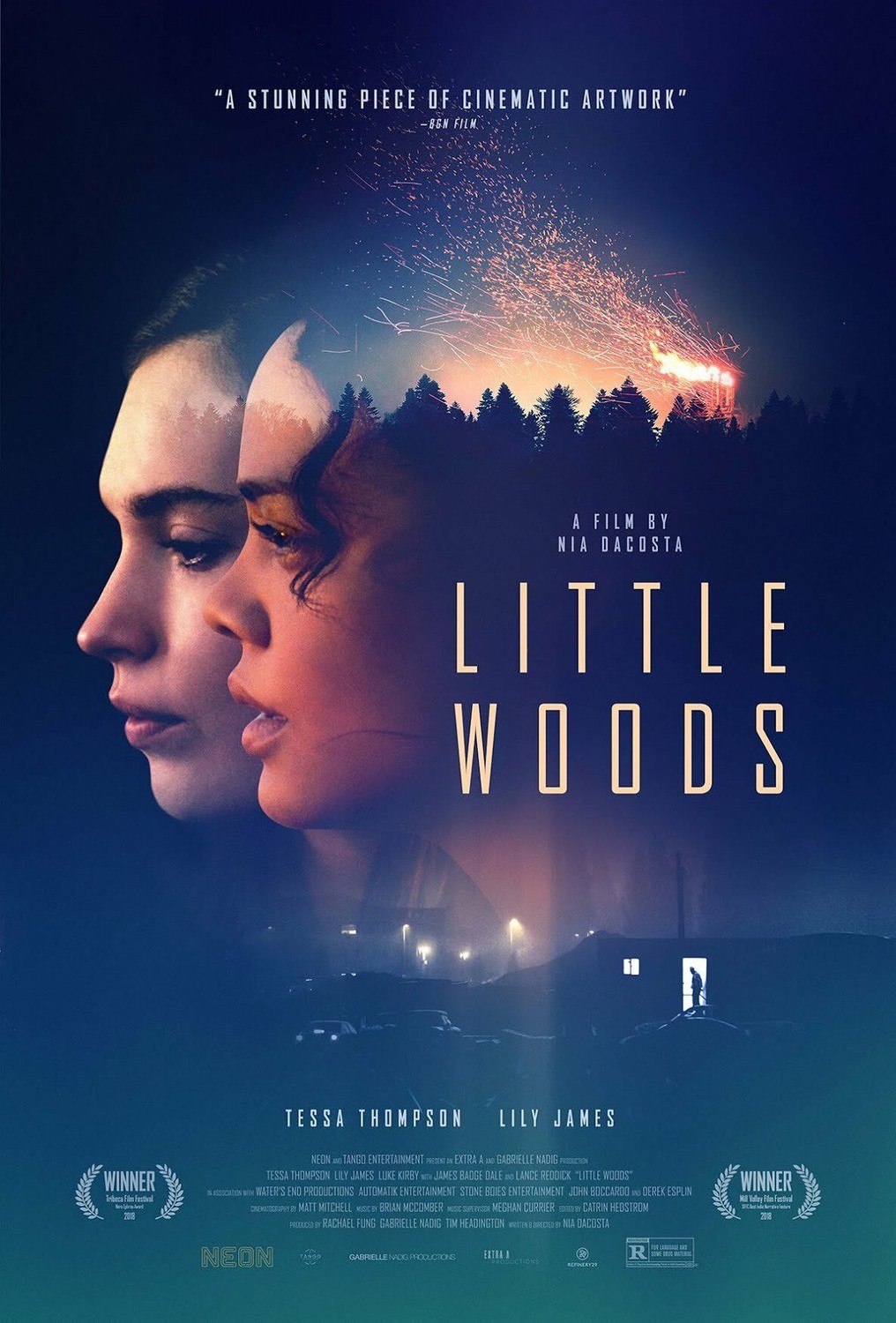 Литтл Вудс / Little Woods (2018) отзывы. Рецензии. Новости кино. Актеры фильма Литтл Вудс. Отзывы о фильме Литтл Вудс