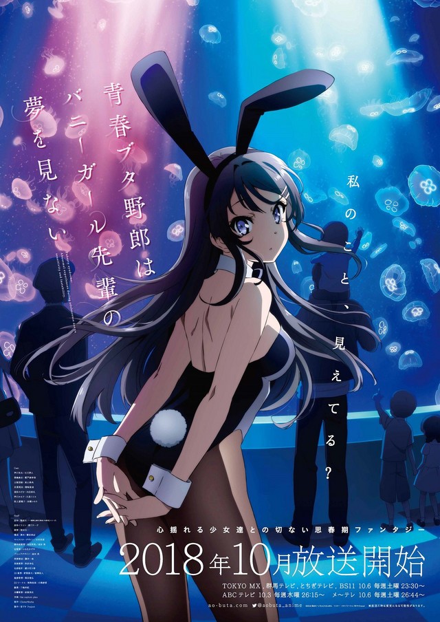 Этот глупый свин не понимает мечту девочки-зайки / Seishun Buta Yaro wa Bunny Girl-senpai no Yume wo Minai